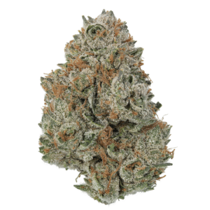 Cookies and Cream Weed Strain Kaufen
