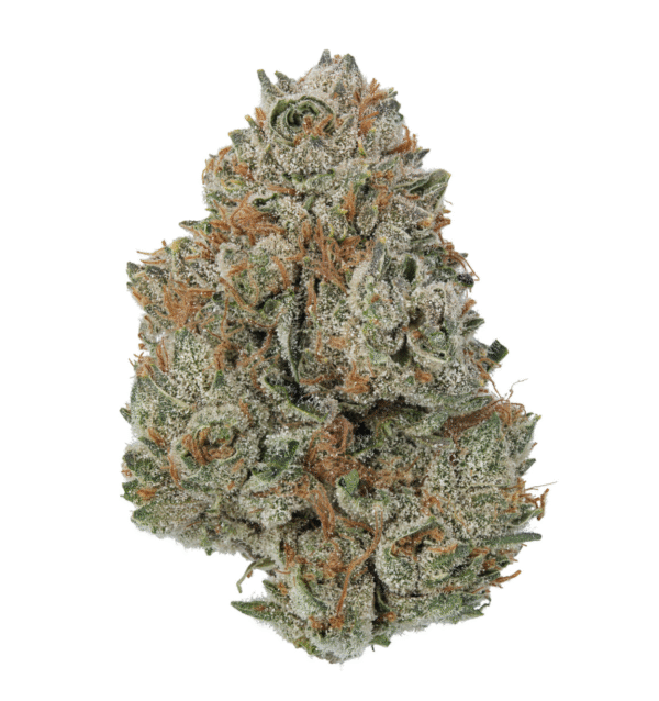 Cookies and Cream Weed Strain Kaufen